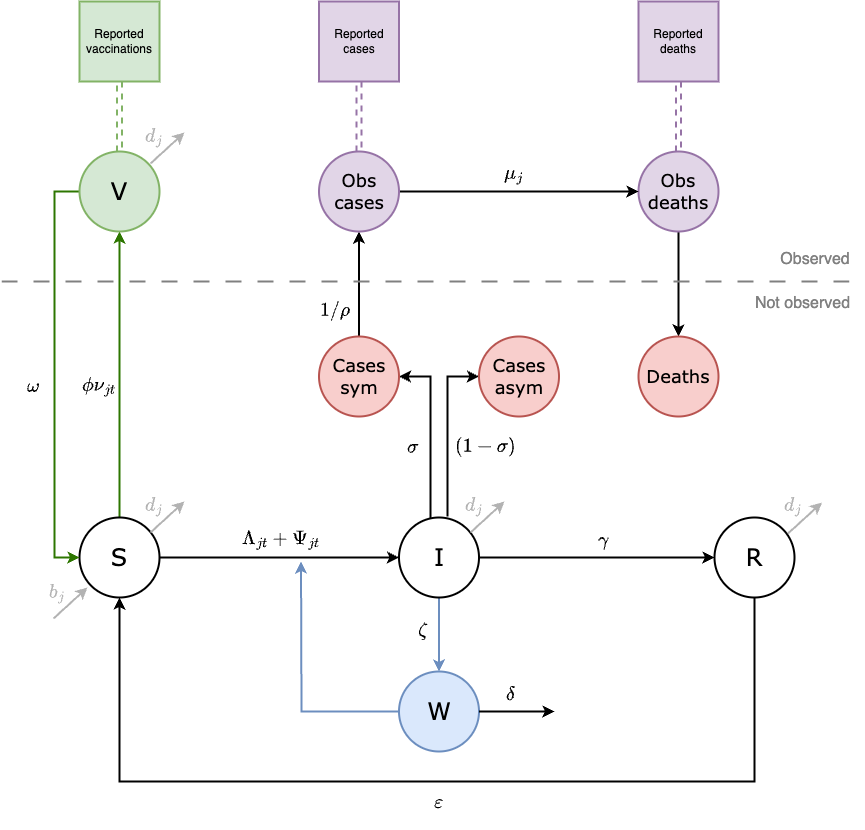 This diagram of the SVIWRS (Susceptible-Vaccinated-Infected-Water/environmental-Recovered-Susceptible) model shows model compartments as circles with rate parameters displayed. The primary data sources the model is fit to are shown as square nodes (Vaccination data, and reported cases and deaths).