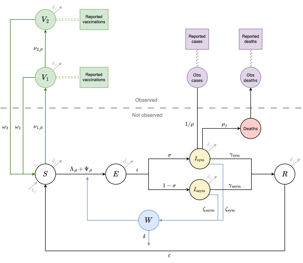 This diagram of the SVEIWRS (Susceptible-Vaccinated-Exposed-Infected-Water/environmental-Recovered-Susceptible) model shows model compartments as circles with rate parameters displayed. The primary data sources the model is fit to are shown as square nodes (Vaccination data, and reported cases and deaths).