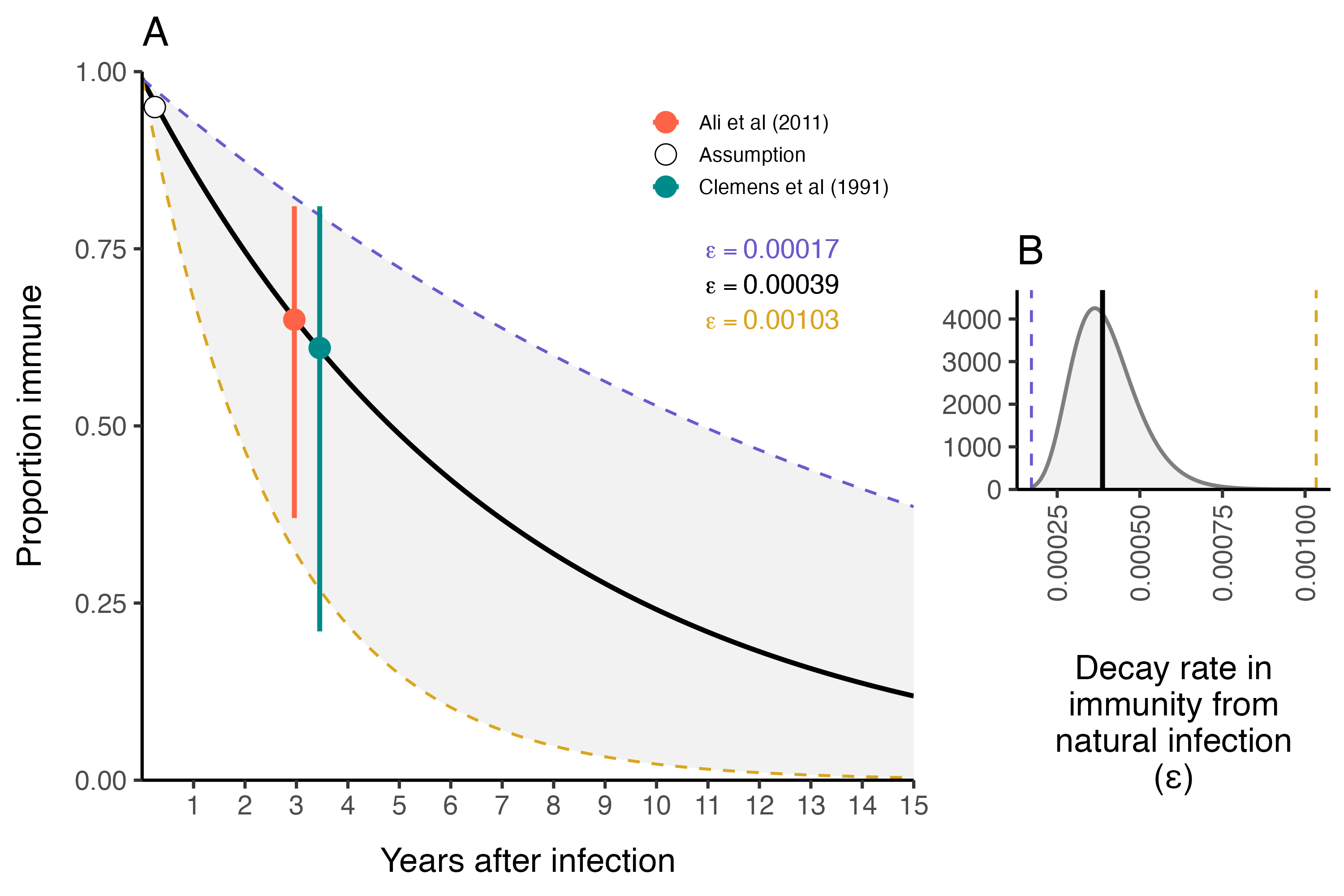 The duration of immunity after natural infection with *V. cholerae*.