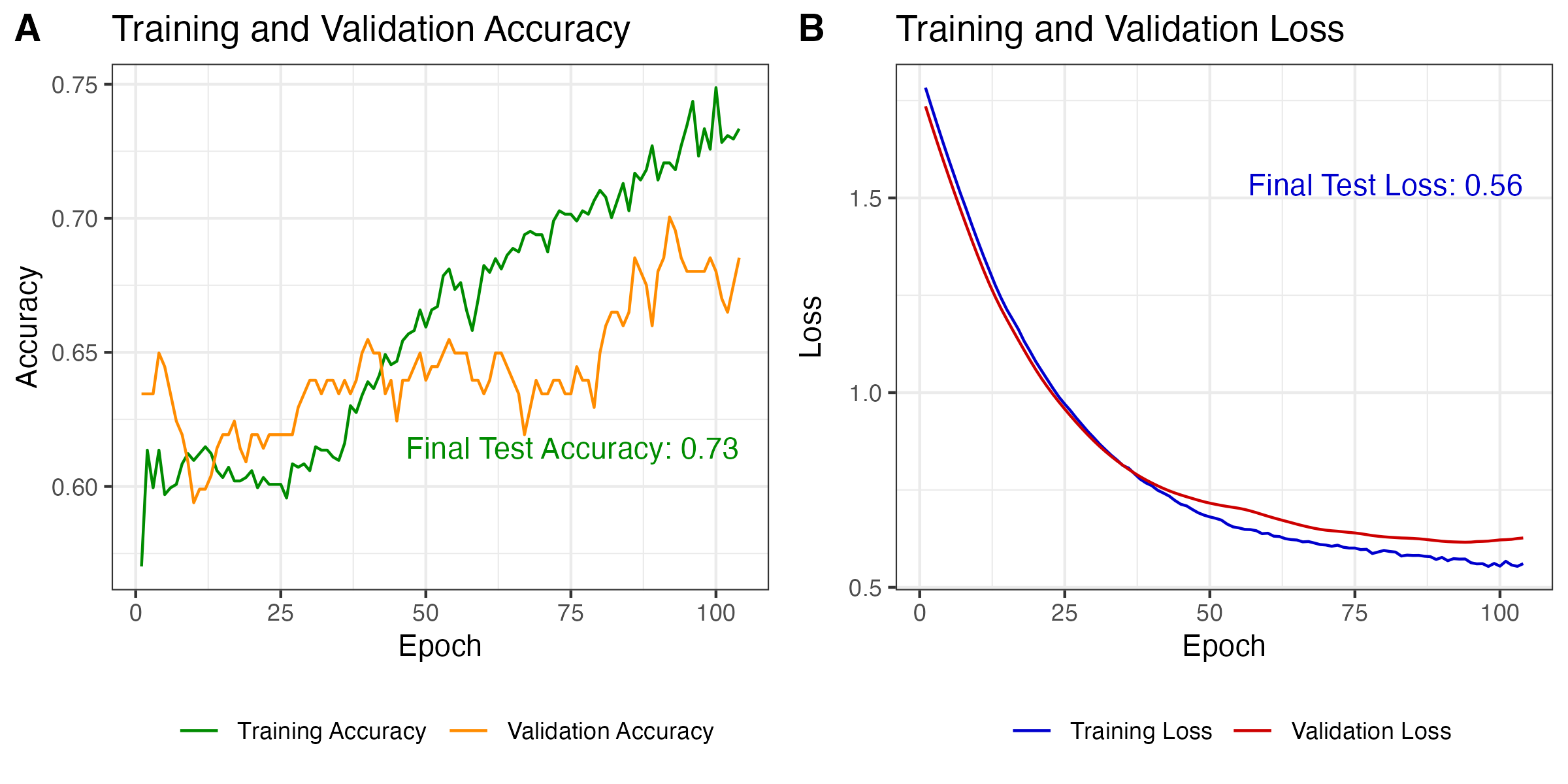 Model performance on training and validation data.